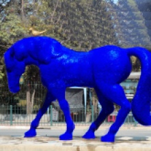 Kevin Maerz, "Blue Horse", 2015